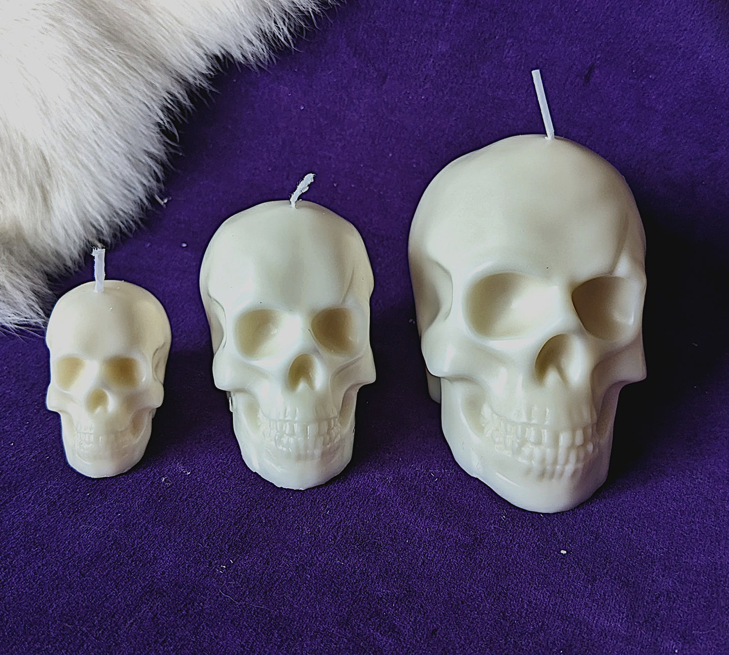 Skull Candles - Unscented